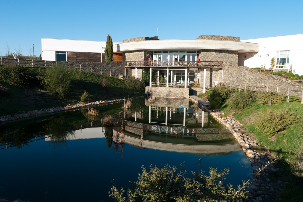 BioEconomia do Pinhal-Bravo