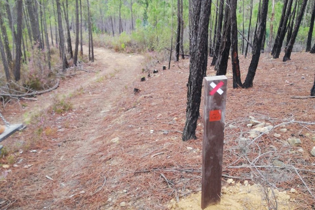  Oleiros recupera 80 km de percursos pedestres afetados pelos incêndios