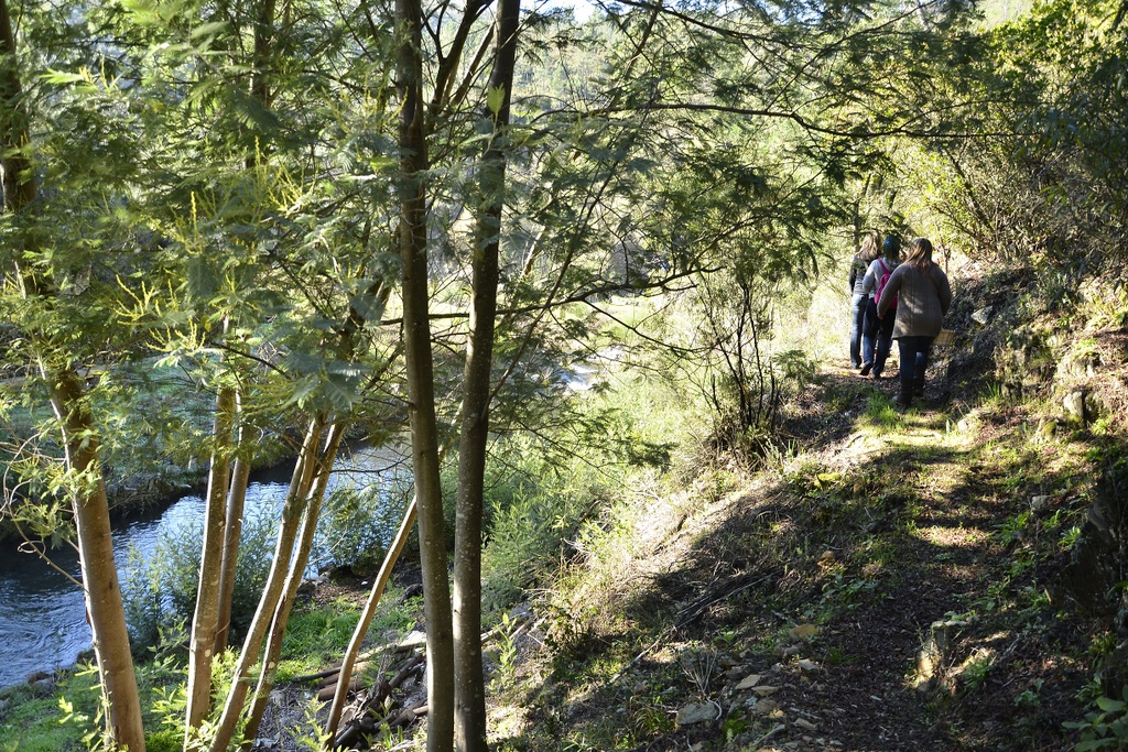 PR5 PPS - Schist Path of Pessegueiro