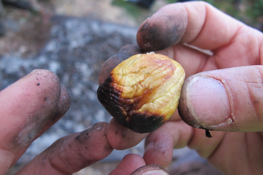 Magusto de Outono em Janeiro de Baixo