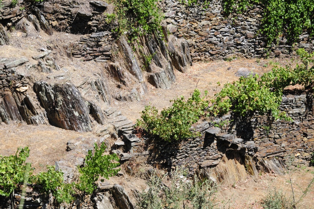 PR6 PPS Caminho do Xisto Porto de Vacas Troço Mágico da GR Zêzere