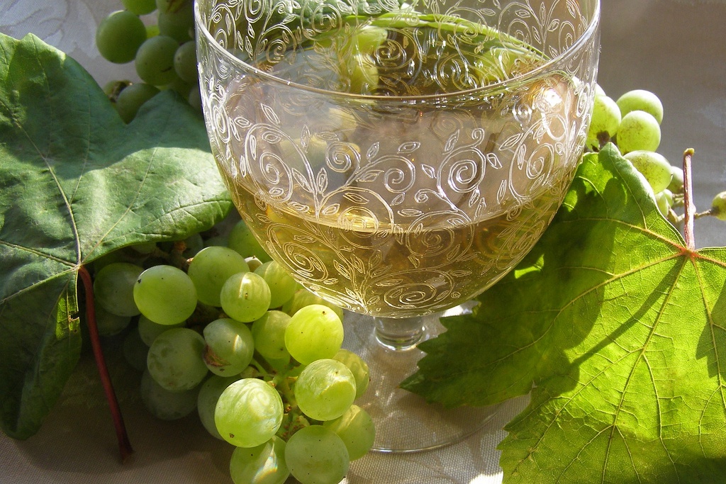 Oleiros: Vinho Callum certificado e incluído na Rota do Vinho da Beira Interior