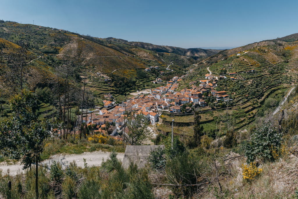 Zona ribeirinha da Benfeita vai ser requalificada