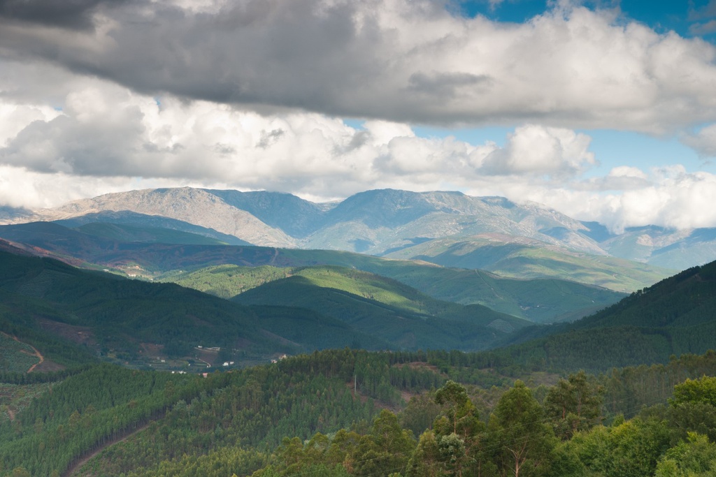 Beneficiação da Paisagem das Aldeias do Xisto do concelho de Góis