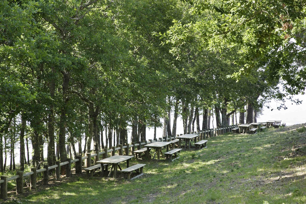 Fórum Florestal em Oleiros