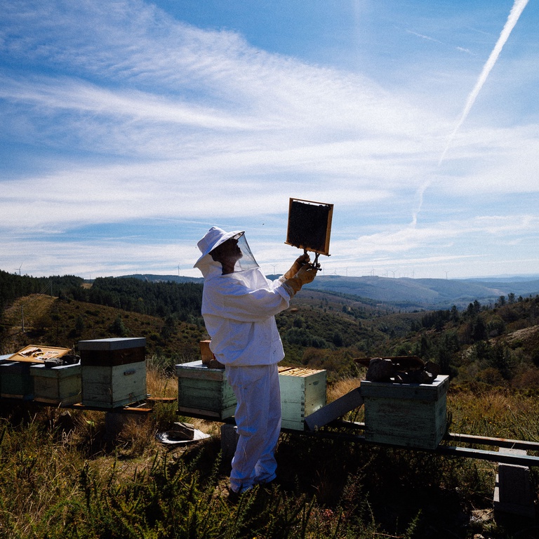 Beekeeping Training Course