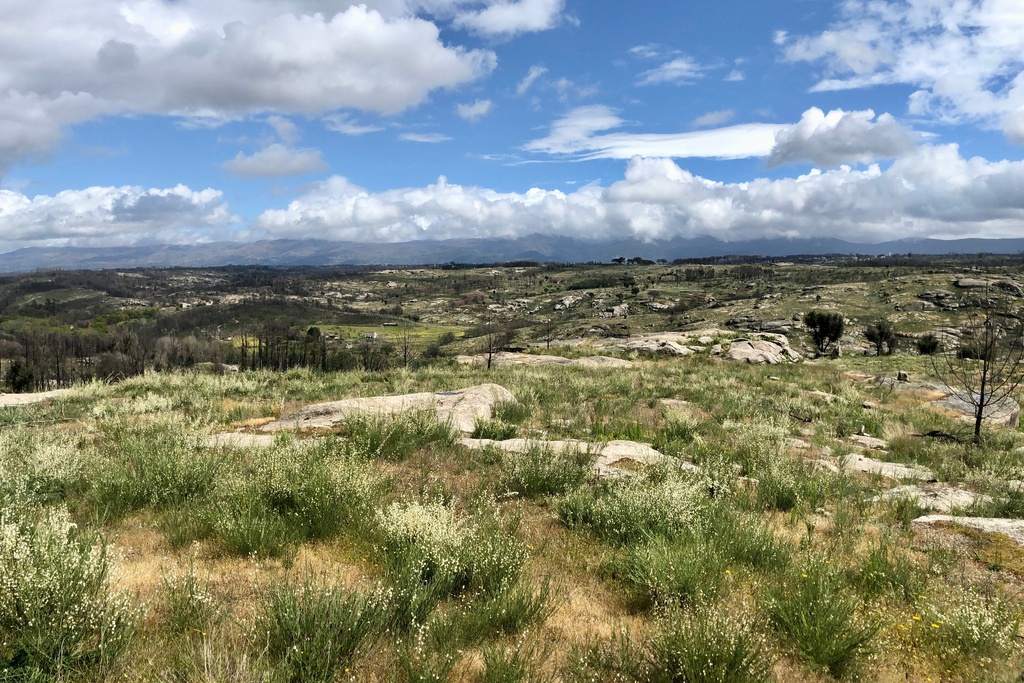 Cyclin' Portugal Centre - Aldeias do Xisto of Oliveira do Hospital: P2 – Green