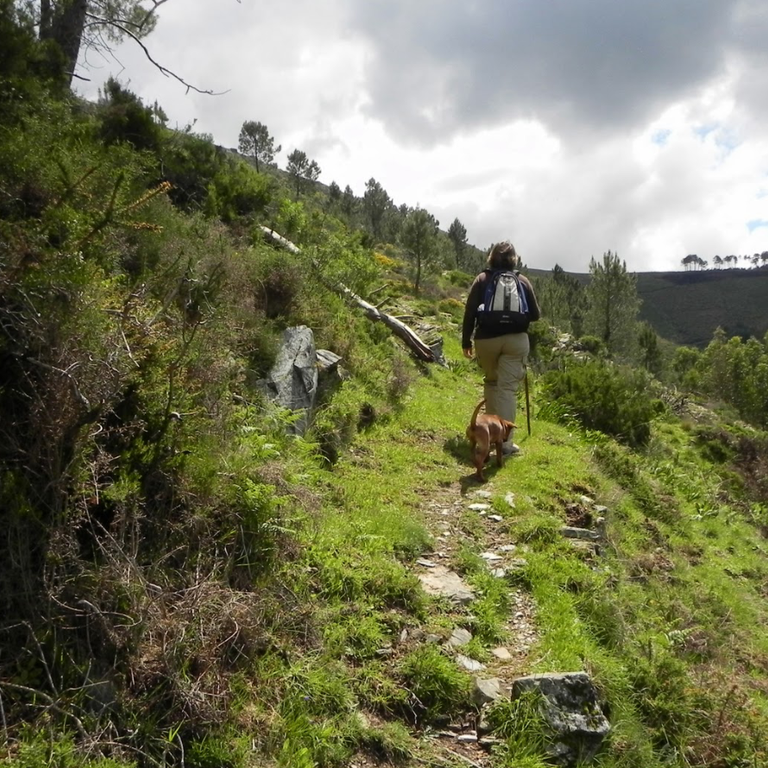 Plogging Challenge Portugal 2026 –  Aigra Nova