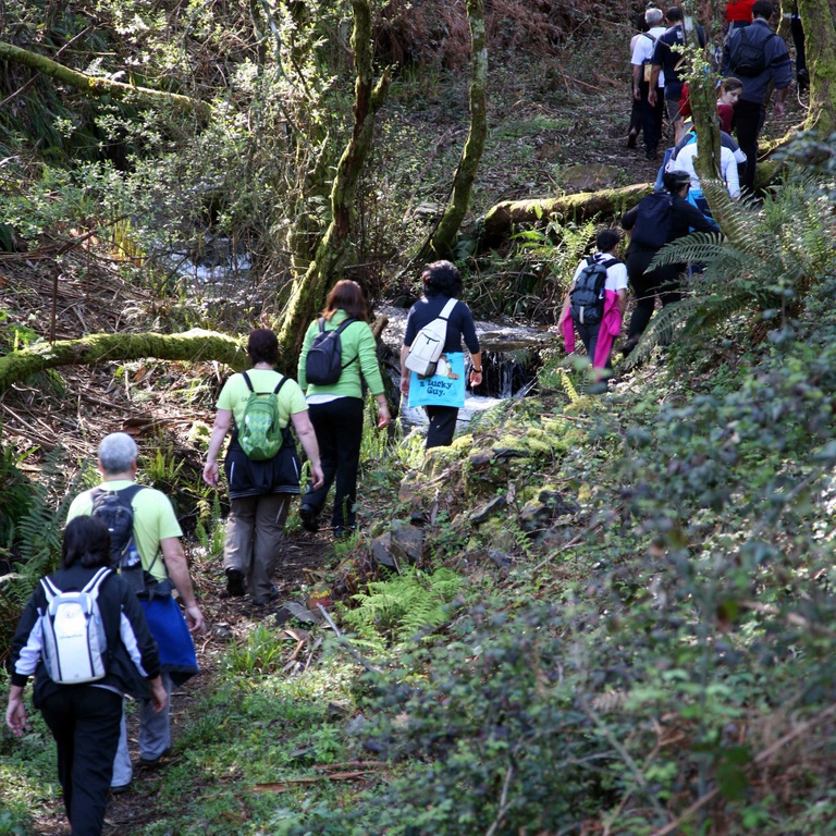 224.º Passeio Pedestre São Pedro do Esteval