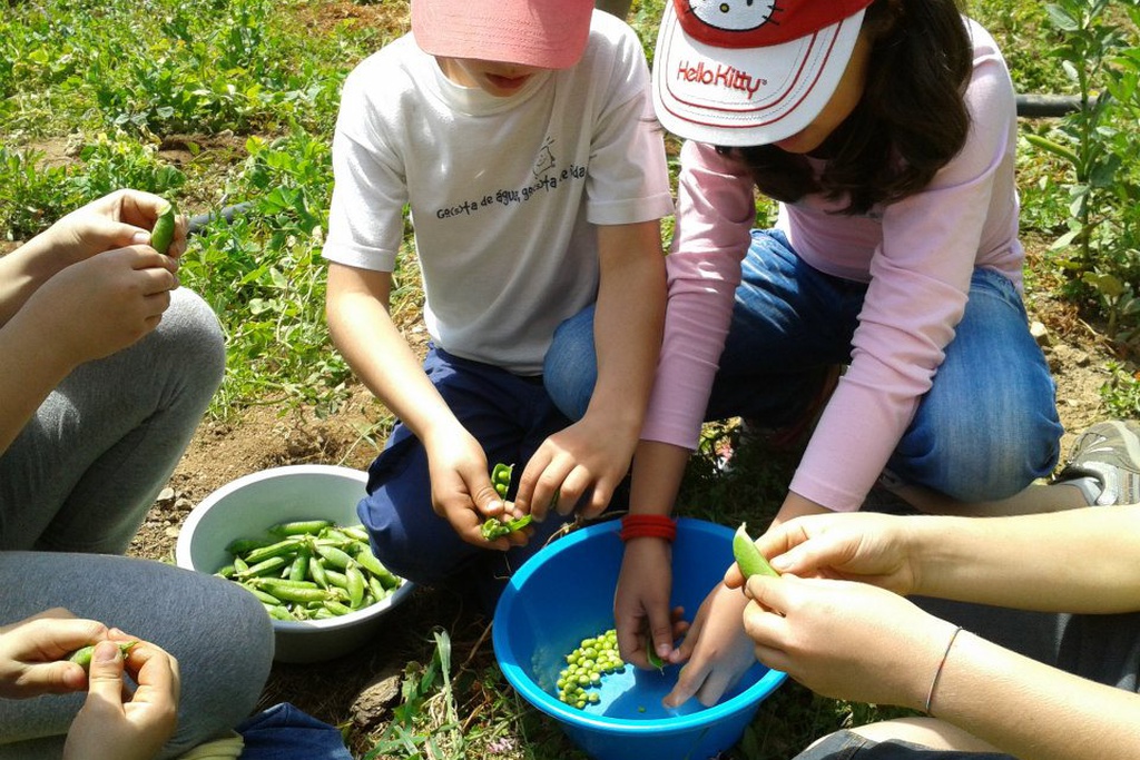 Aldeia Viva Sundays - World Children's Day Programme