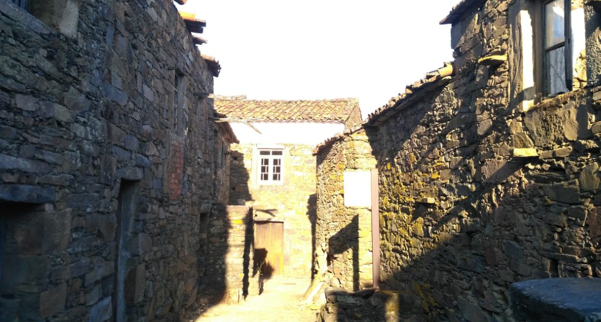 GeoEvento Limpar e Reflorestar