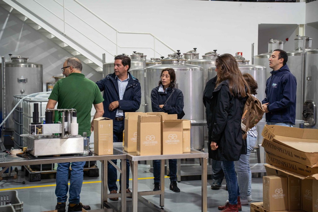 Medronheiro vai ser testado e valorizado em campo experimental