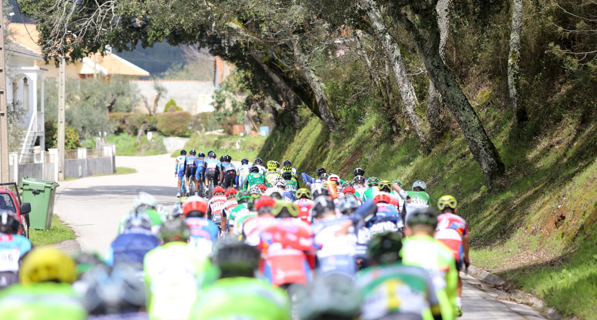 Volta ao Vale Serrão