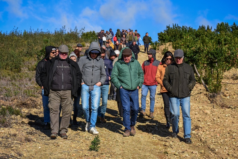 VII Encontro do Medronho e do Medronheiro juntou cerca de 180 produtores