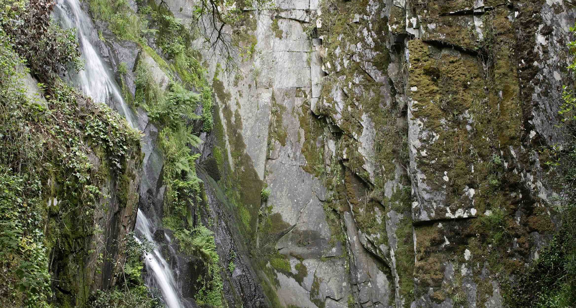 IV Encontro Cidadania e responsabilidade Sócio Ambiental