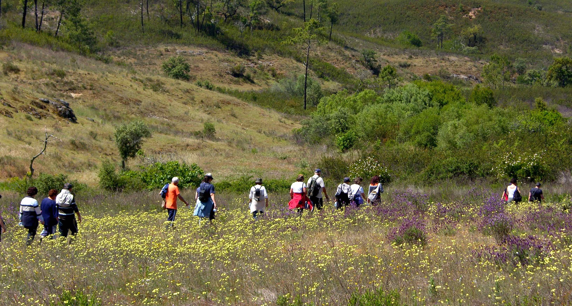 A pé pelos Caminhos do Xisto