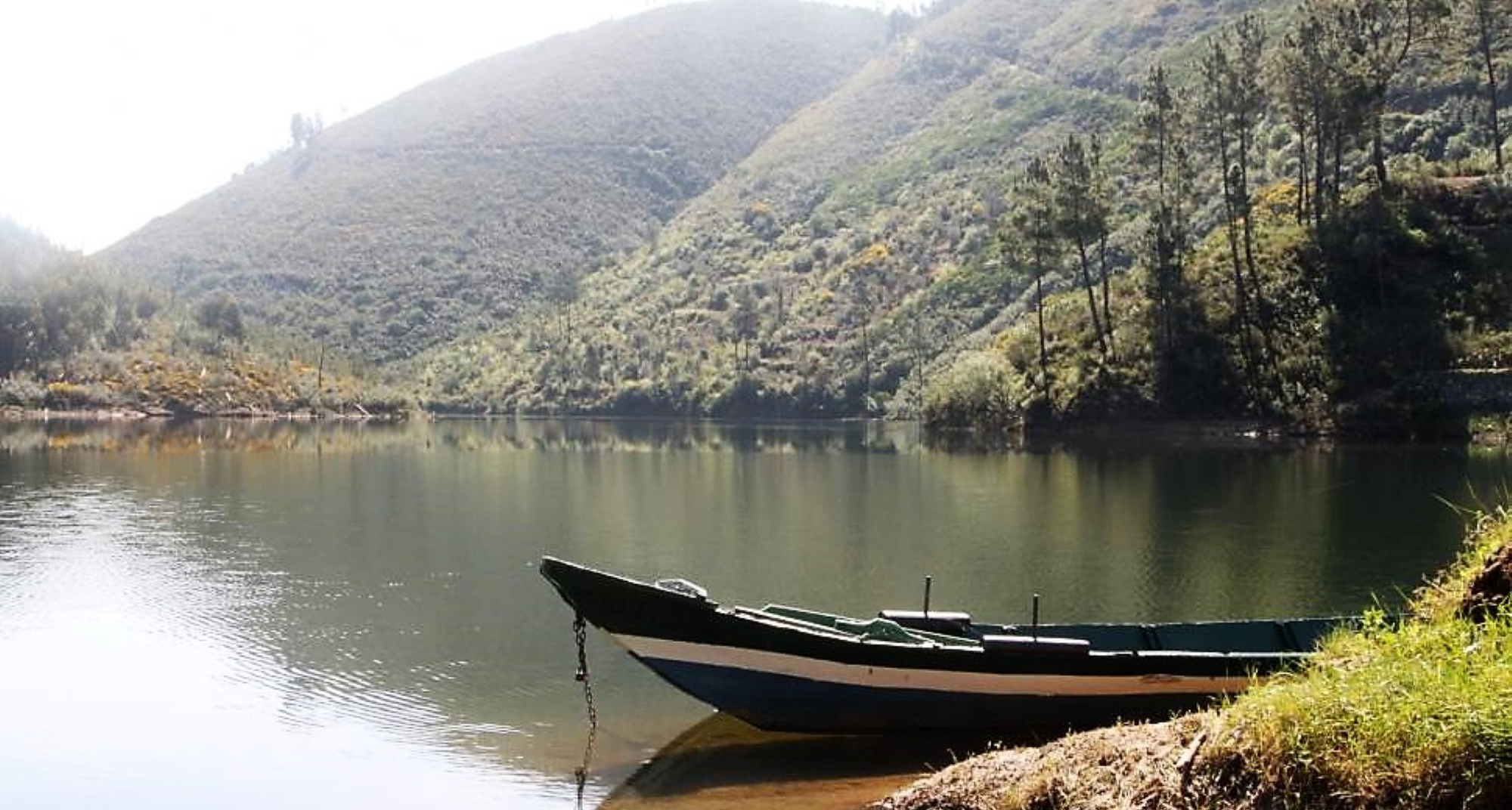 Pelos Azereiros do Zêzere