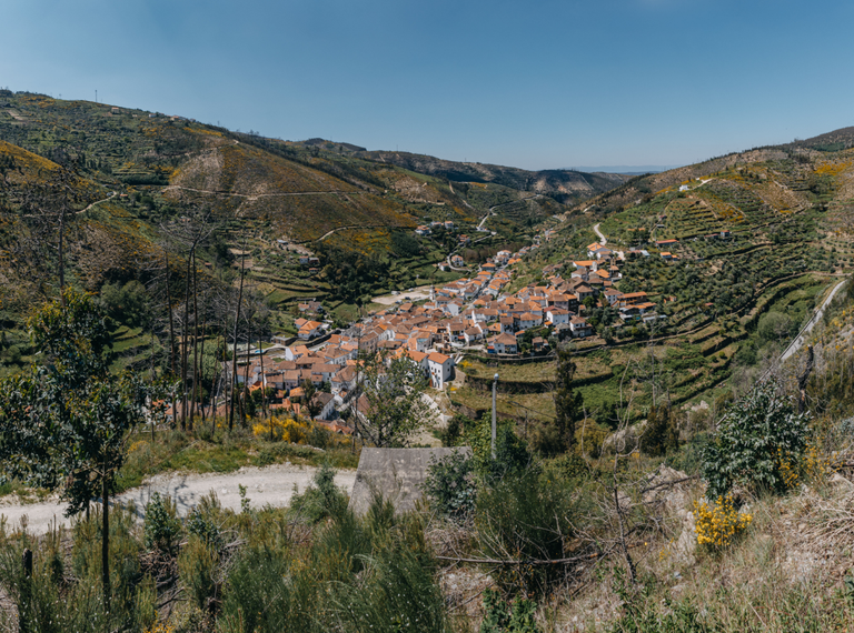 Zona ribeirinha da Benfeita vai ser requalificada