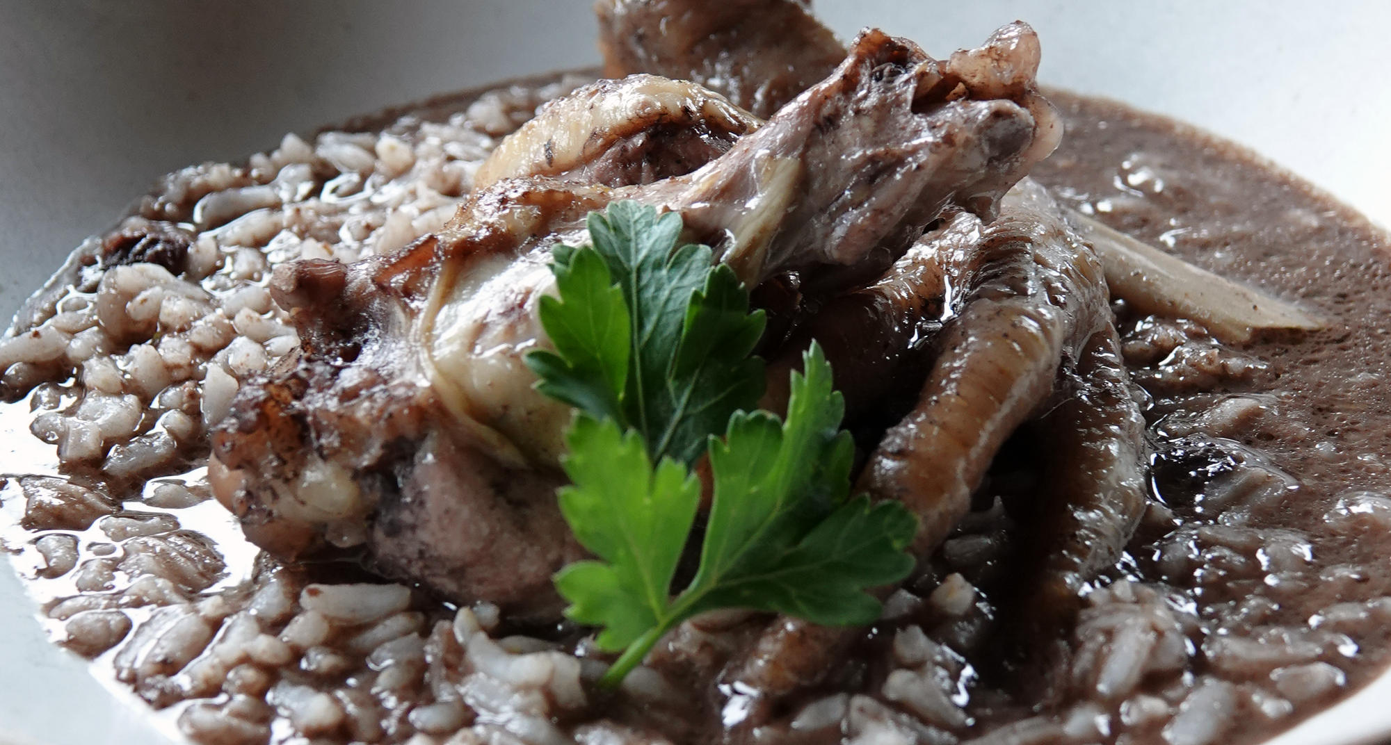 III Semana Gastronómica do Galo