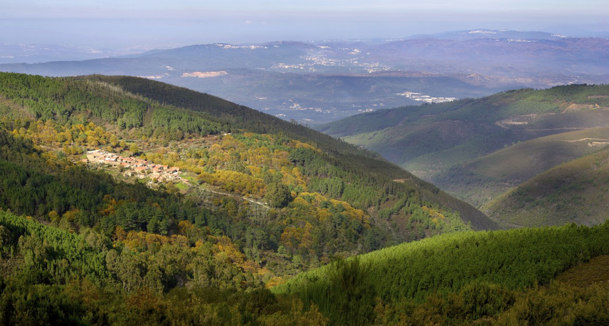Campanha da Primavera no Bookinxisto com descontos até 50% 