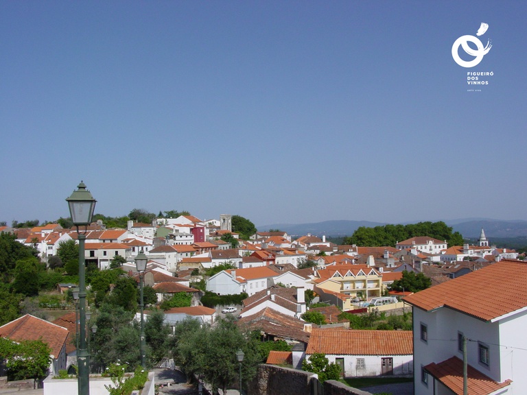 Câmara de Figueiró dos Vinhos aprova novo protocolo de Apoio à Infância