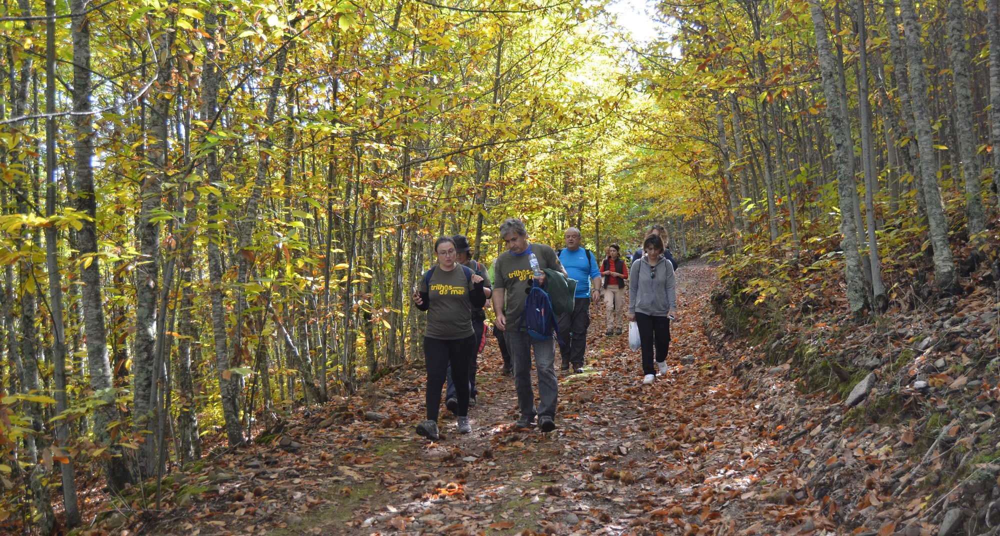 Rota dos Castanheiros