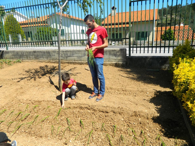 Horta Pedagógica na Escola Sede de Pampilhosa da Serra