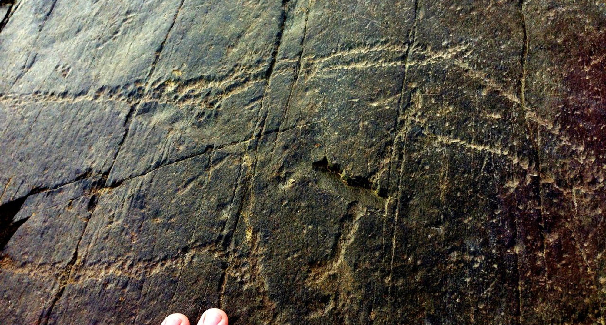 Mesa Redonda “Arqueologia, Museus, Território e Comunidade(s)” 