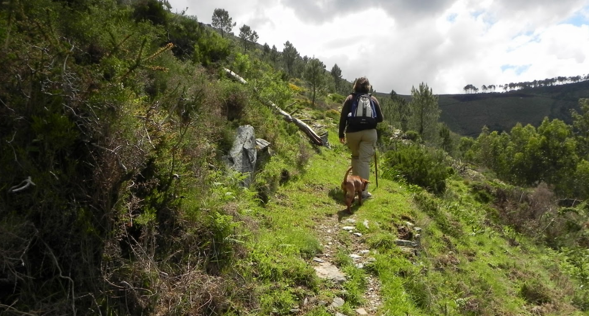 Plogging Challenge Portugal 2026 – Aigra Nova