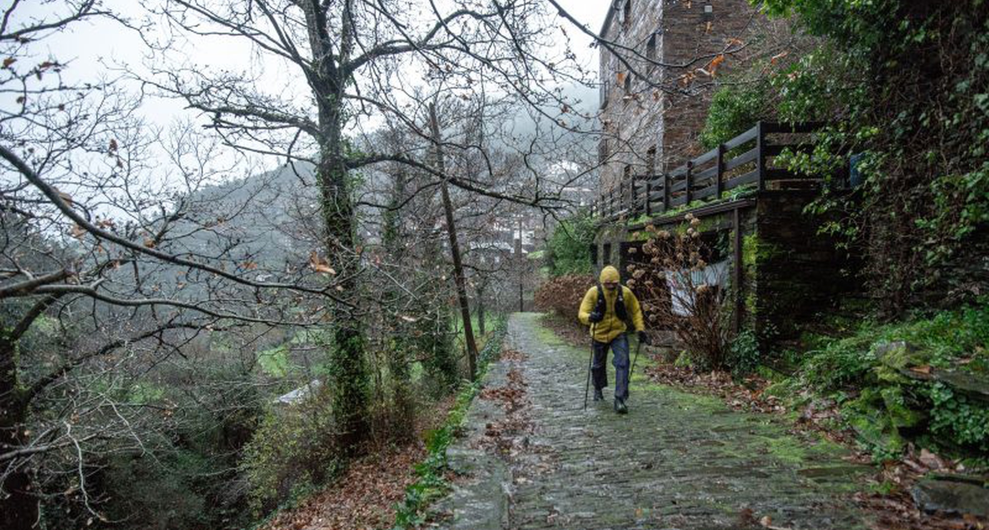 Land of Giants Ultramarathon