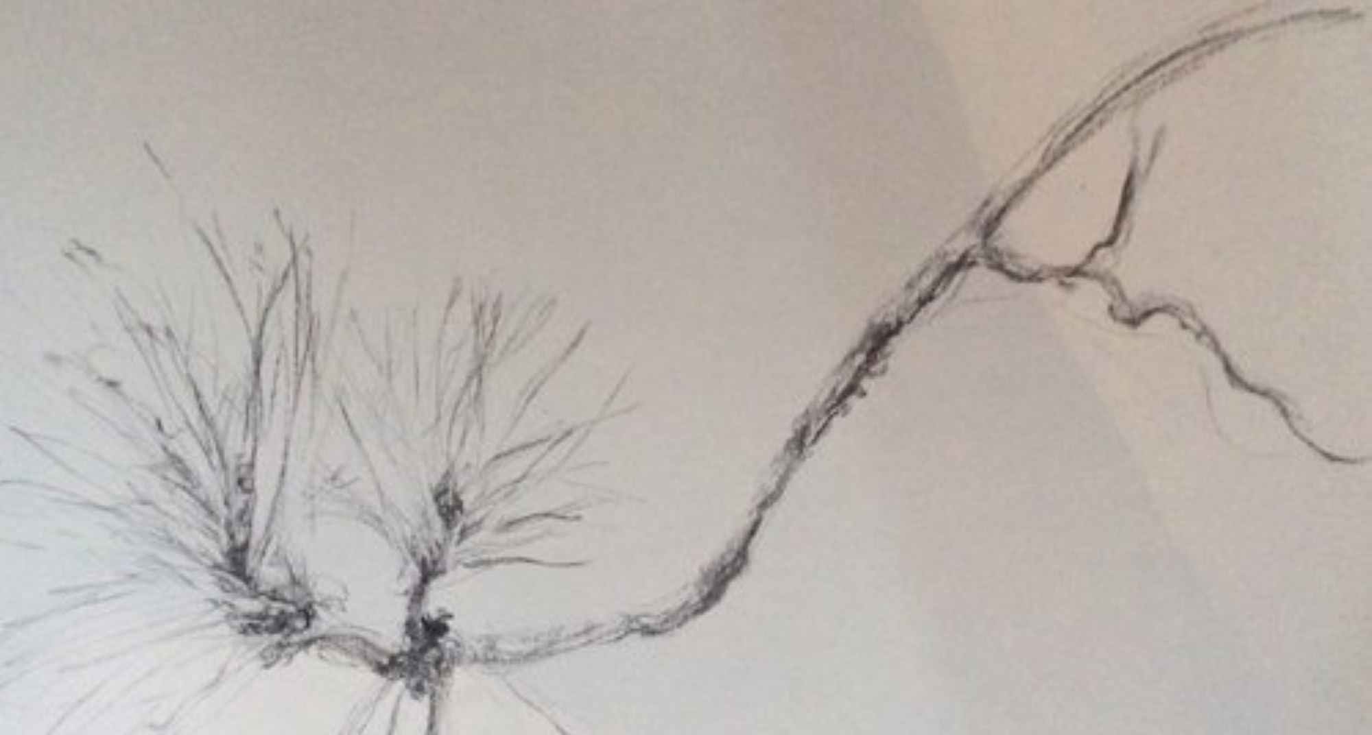 Introdução ao Desenho a Carvão