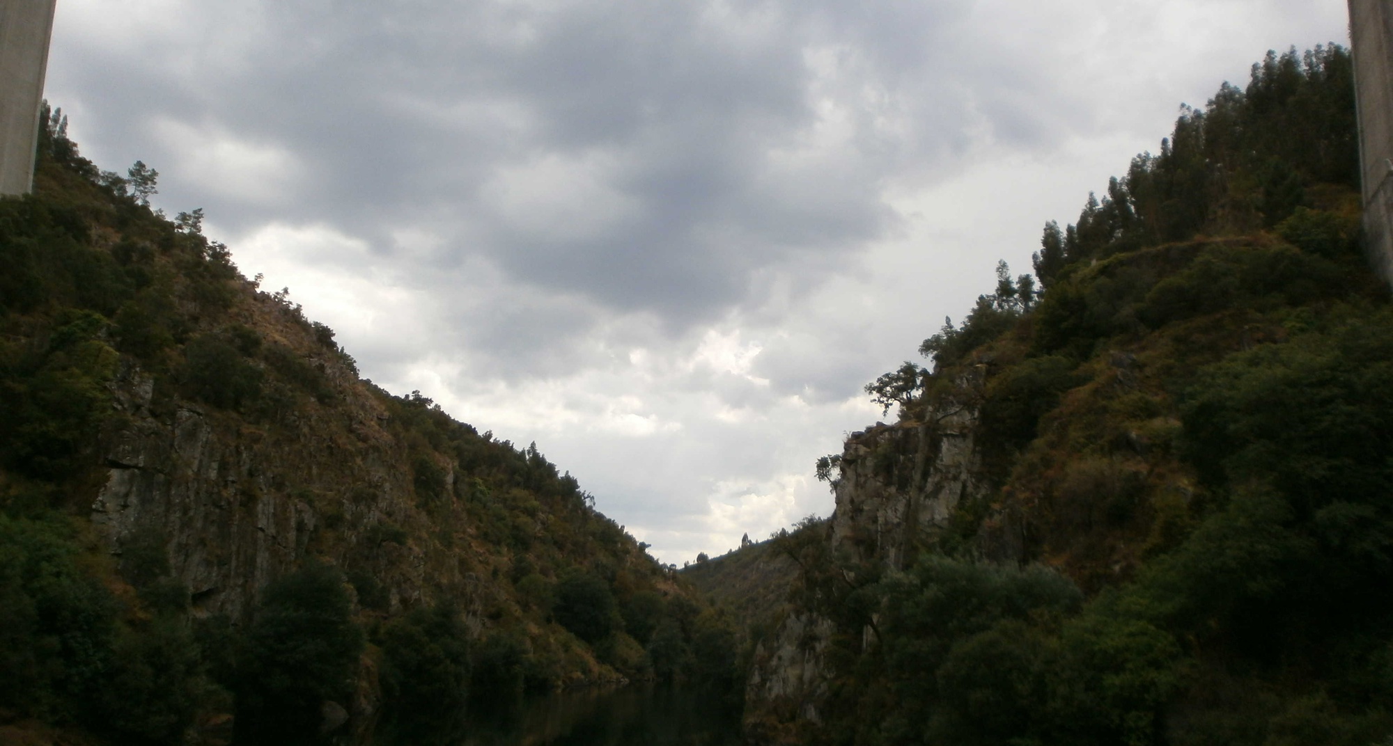 Percurso Botânico por Pedrogão Pequeno