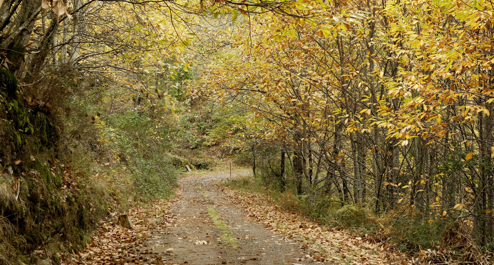 De volta à Margaraça - Excursão e Palestra com o Professor Jorge Paiva 