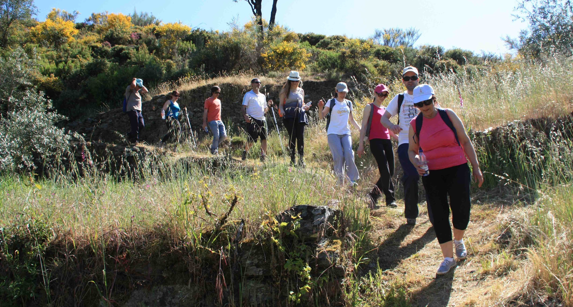 IV Caminhada Rota da Castanha 