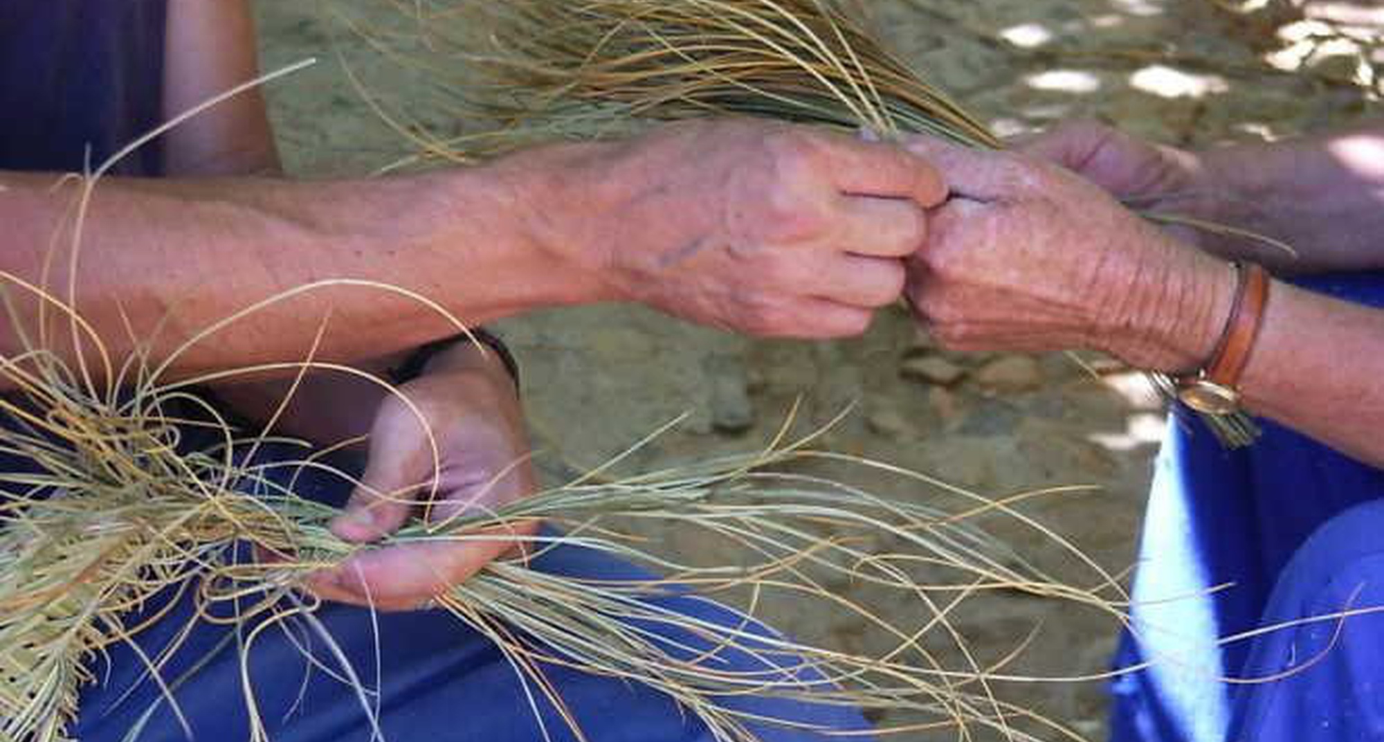 Curso de Cestaria com Fibras Vegetais