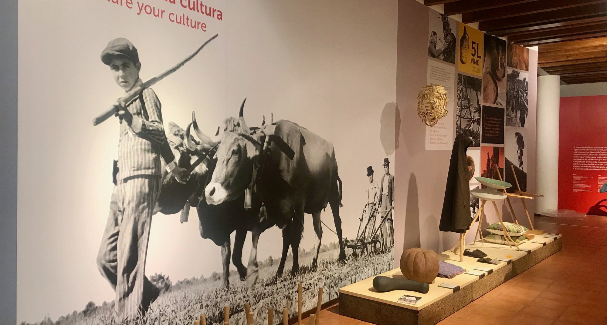 Exposição Agricultura Lusitana patente no Museu Etnográfico Louzã Henriques