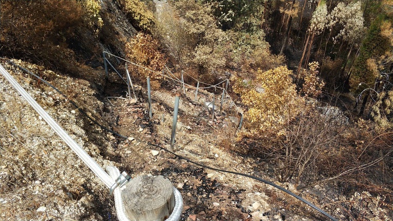 100 voluntários limpam trilho destruído pelos incêndios